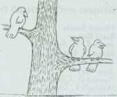 Document0021.jpg