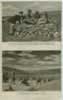 so1010c.jpg (35,065 bytes)