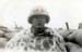iwo8b
