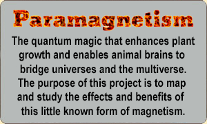 Paramagnetism